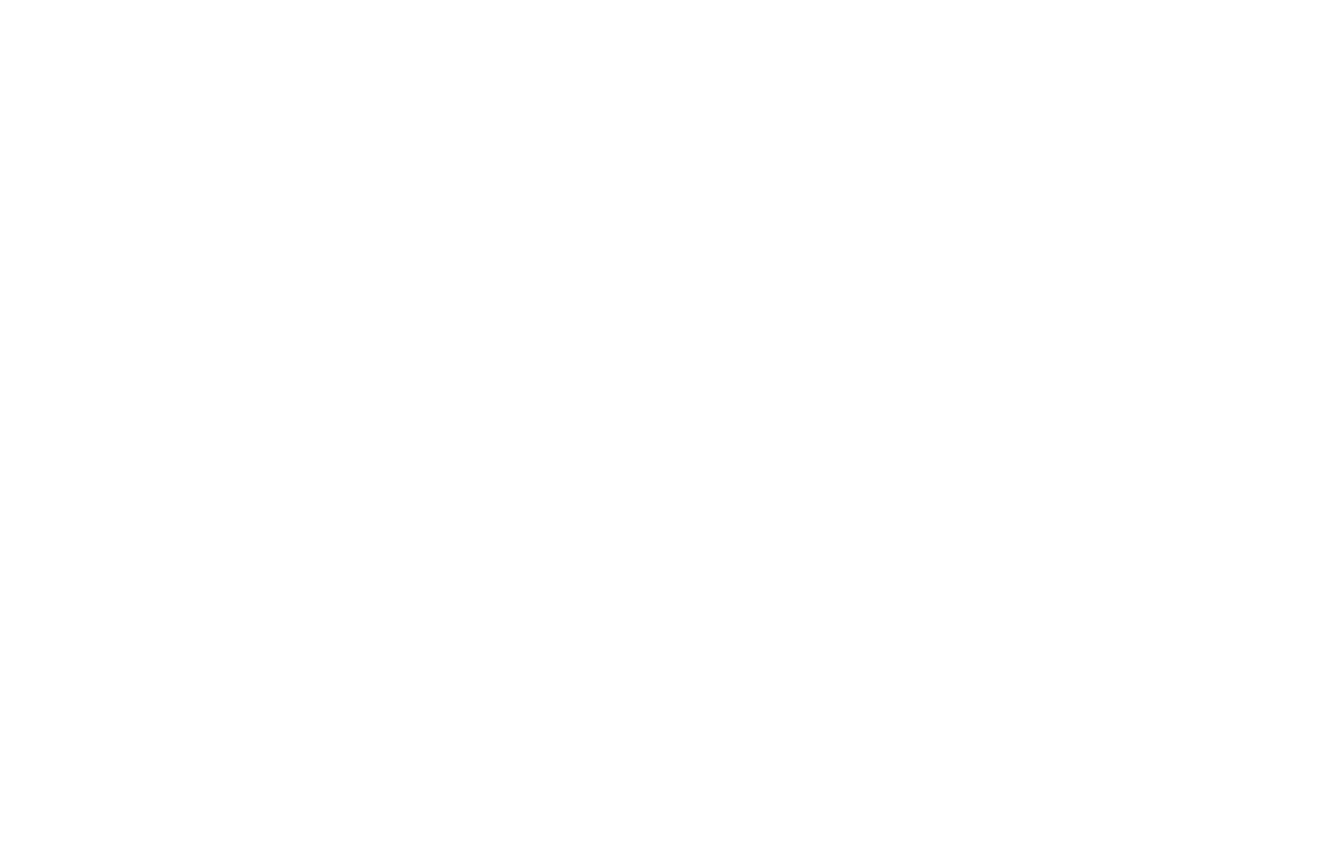 Processor
